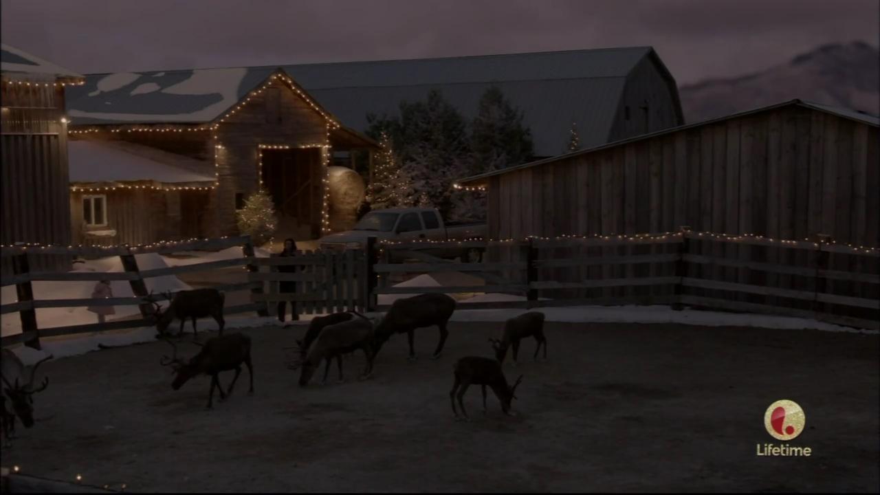 hbd_lastchanceforchristmas_471.jpg