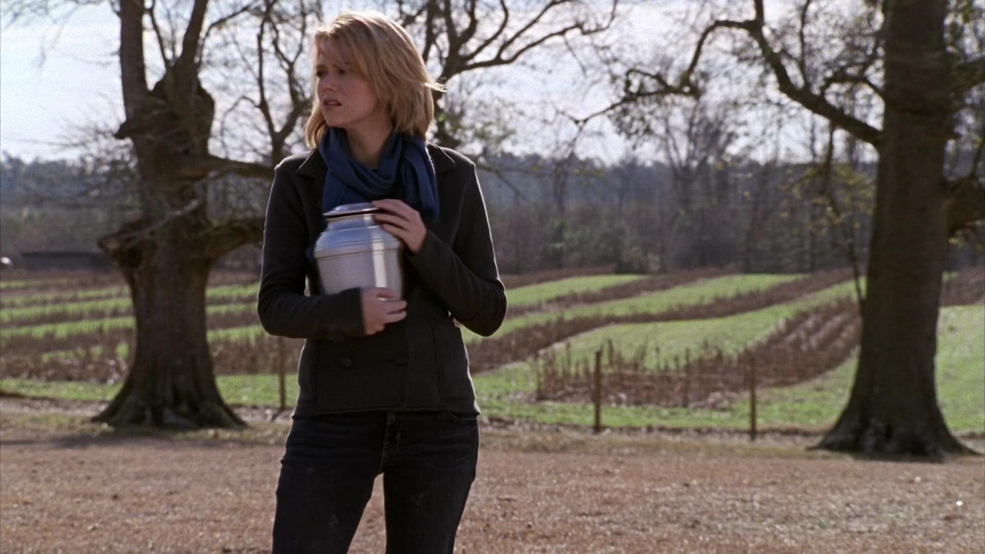hbd_oth313_392.jpg