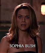 hbd_oth606_116.jpg